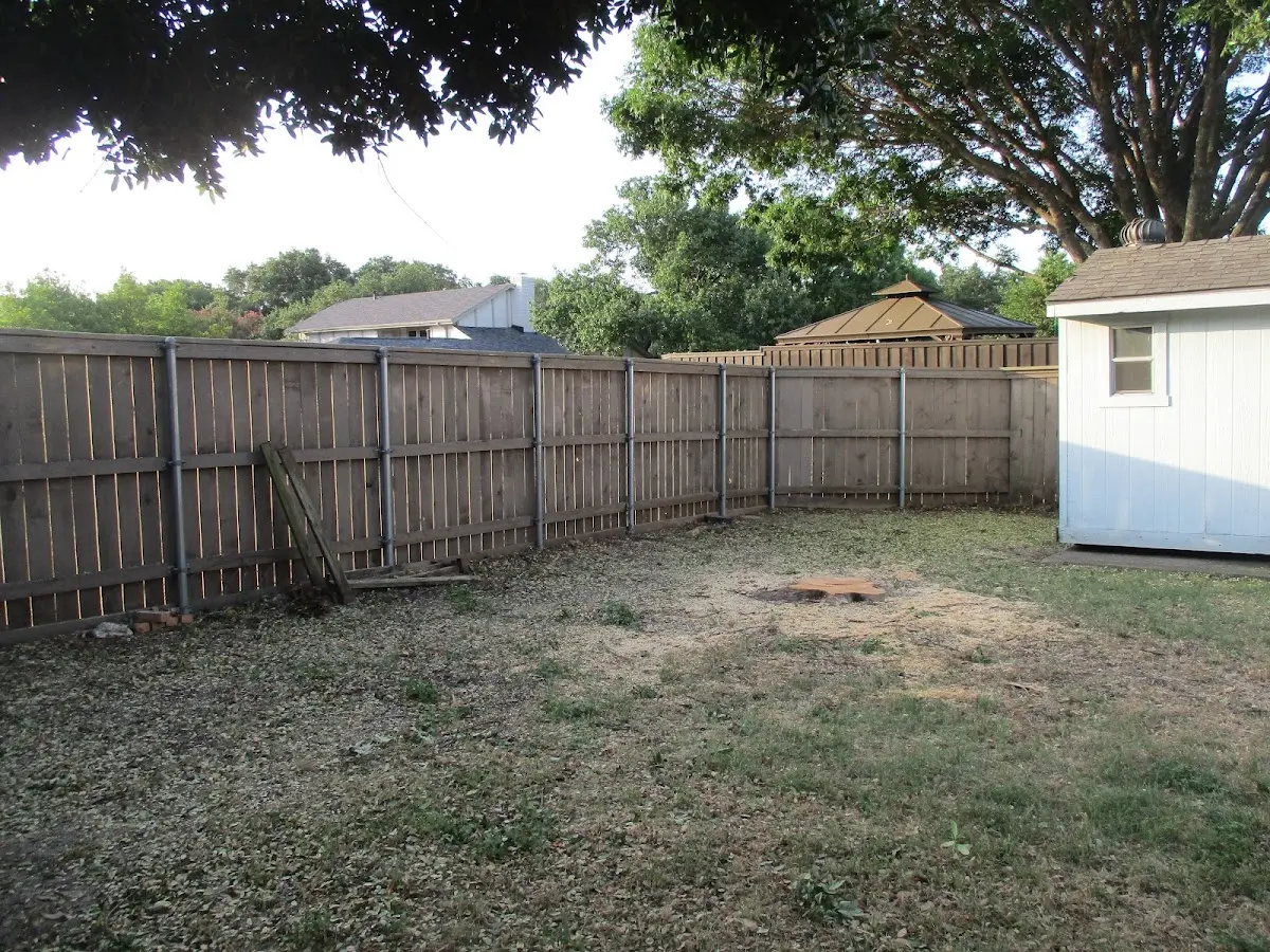 Cleared yard after professional tree removal in Little Birch